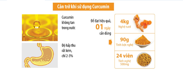 Meriva giúp cải thiện khả năng kém hấp thu vào cơ thể của curcumin