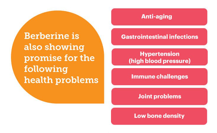 Top 7 lợi ích vàng cho sức khoẻ của Berberine