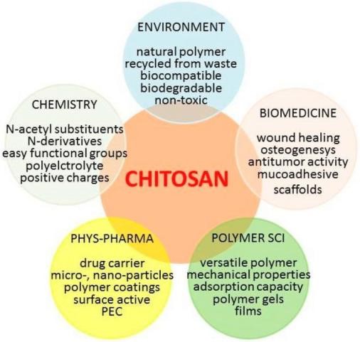 Chitosan – Nguyên liệu quý từ vỏ tôm, cua