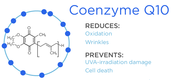 Coenzyme Q10 và những lợi ích chống lão hóa hiệu quả cho da