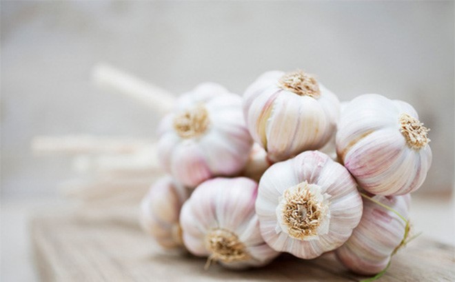 Chiết xuất tỏi (Garlic extract)