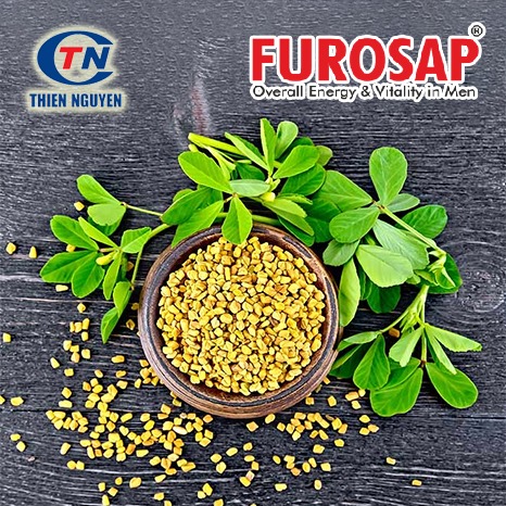 FUROSAP® - Chiết xuất cỏ cà ri fenugreek (Trigonella foenum-graecum extract)