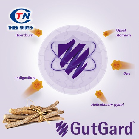 GutGard® – Tiêu diệt vi khuẩn H.pylori giảm viêm loét dạ dày, tá tràng