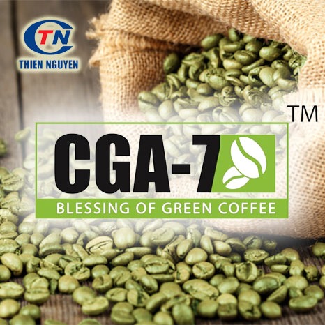 CGA-7™ – Chiết xuất hạt cà phê xanh (Green coffee bean extract)