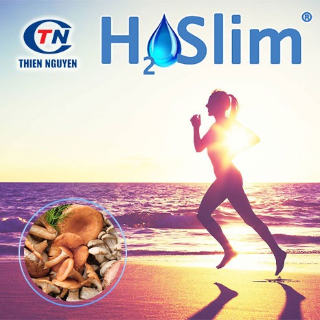 H2OSlim® - Chiết xuất nấm mỡ (Agaricus Bisporus Extract)