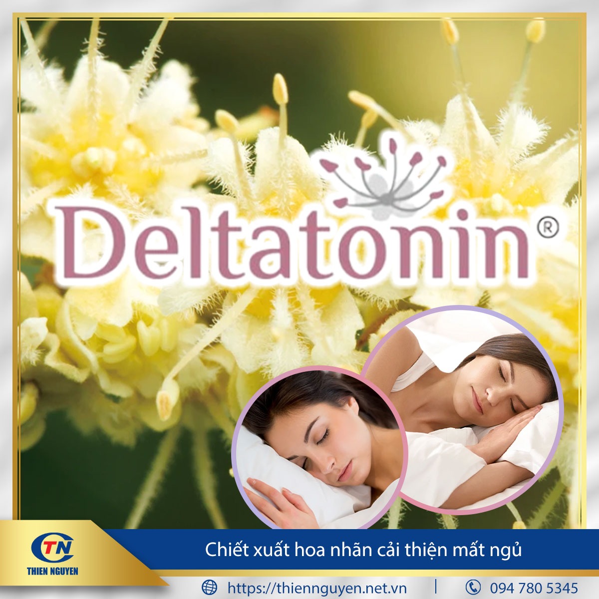 Deltatonin™ – Chiết xuất hoa nhãn (Longan flower extract)