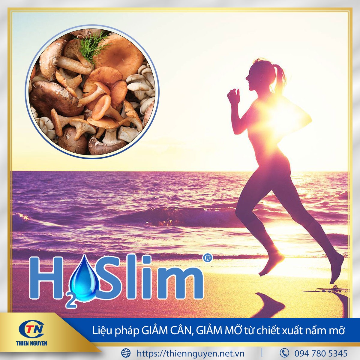 H2OSlim® - Chiết xuất nấm mỡ (Agaricus Bisporus Extract)