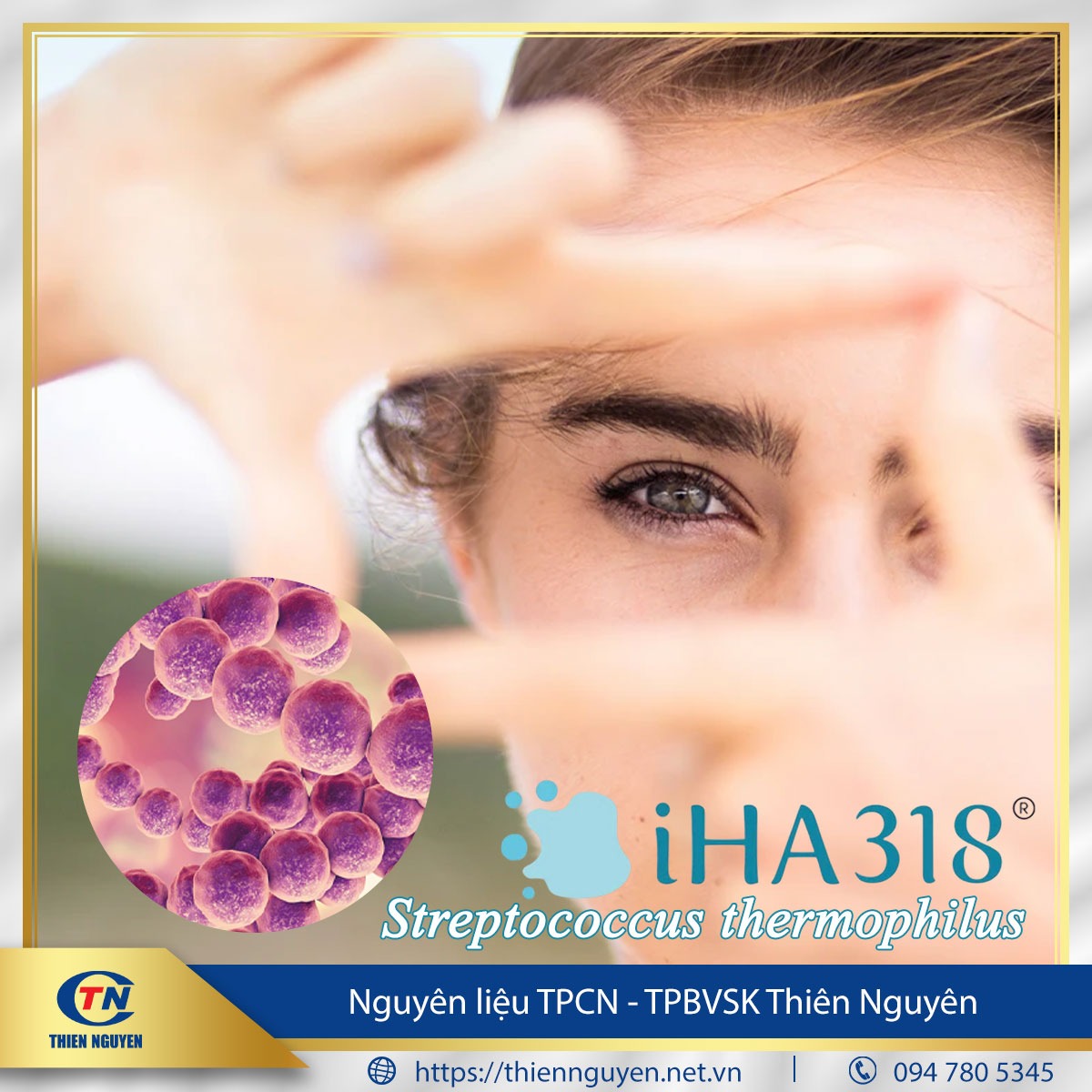 iHA318® (Streptococcus thermophilus)