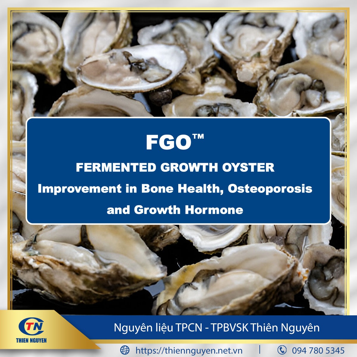 FGO™ (Fermented Growth Oyster) – Chiết xuất hàu Thái Bình Dương