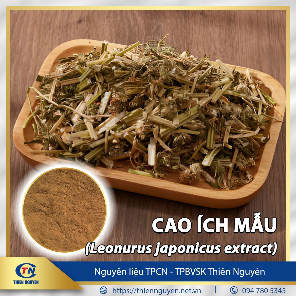 Cao ích mẫu - Leonurus japonicus extract