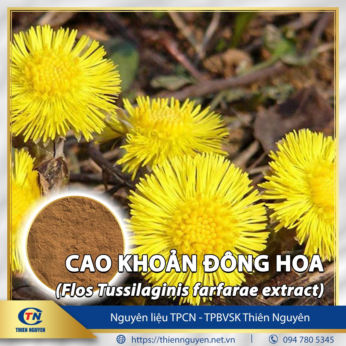 Cao khoản đông hoa - Flos Tussilaginis farfarae extract