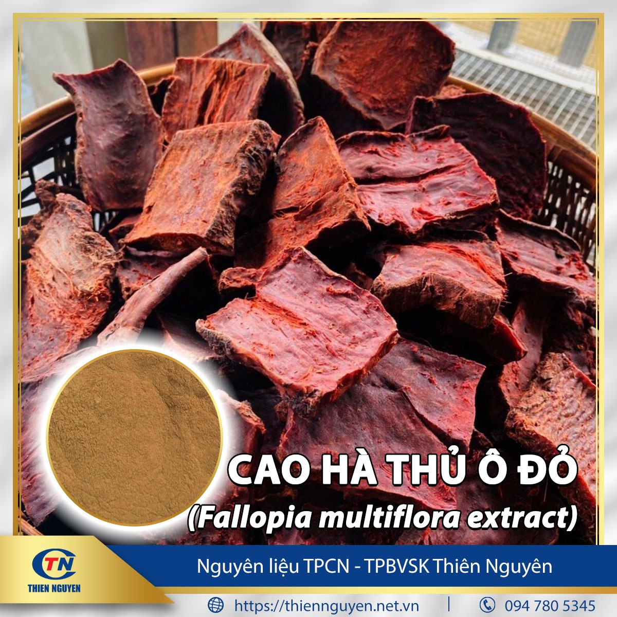 Cao hà thủ ô đỏ - Fallopia multiflora extract