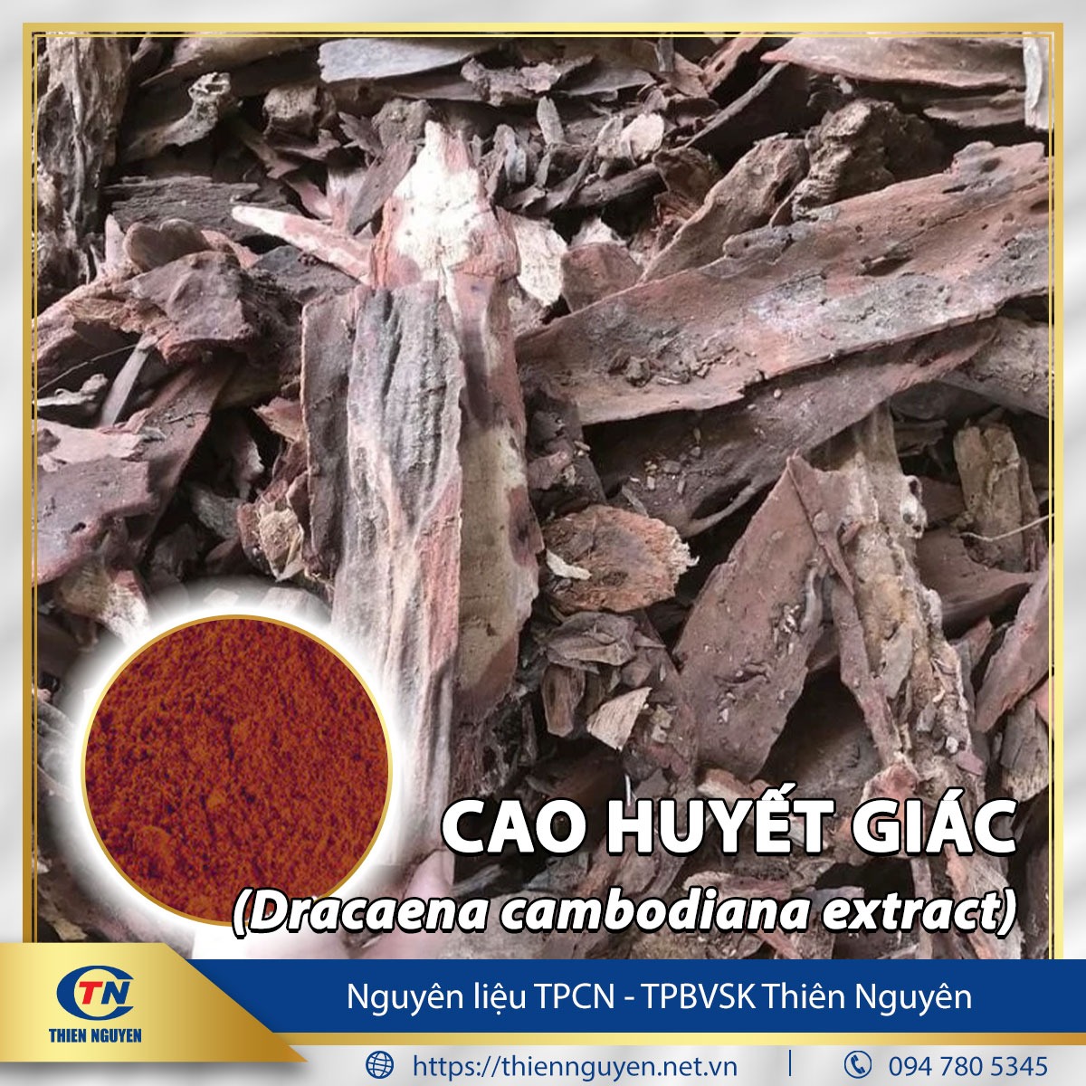 Cao huyết giác - Dracaena cambodiana extract