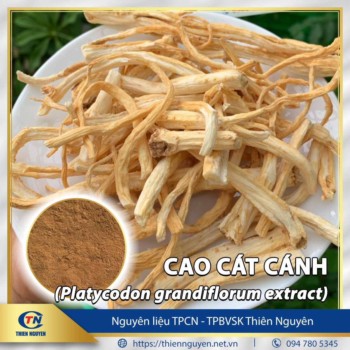 Cao cát cánh - Platycodon grandiflorum extract