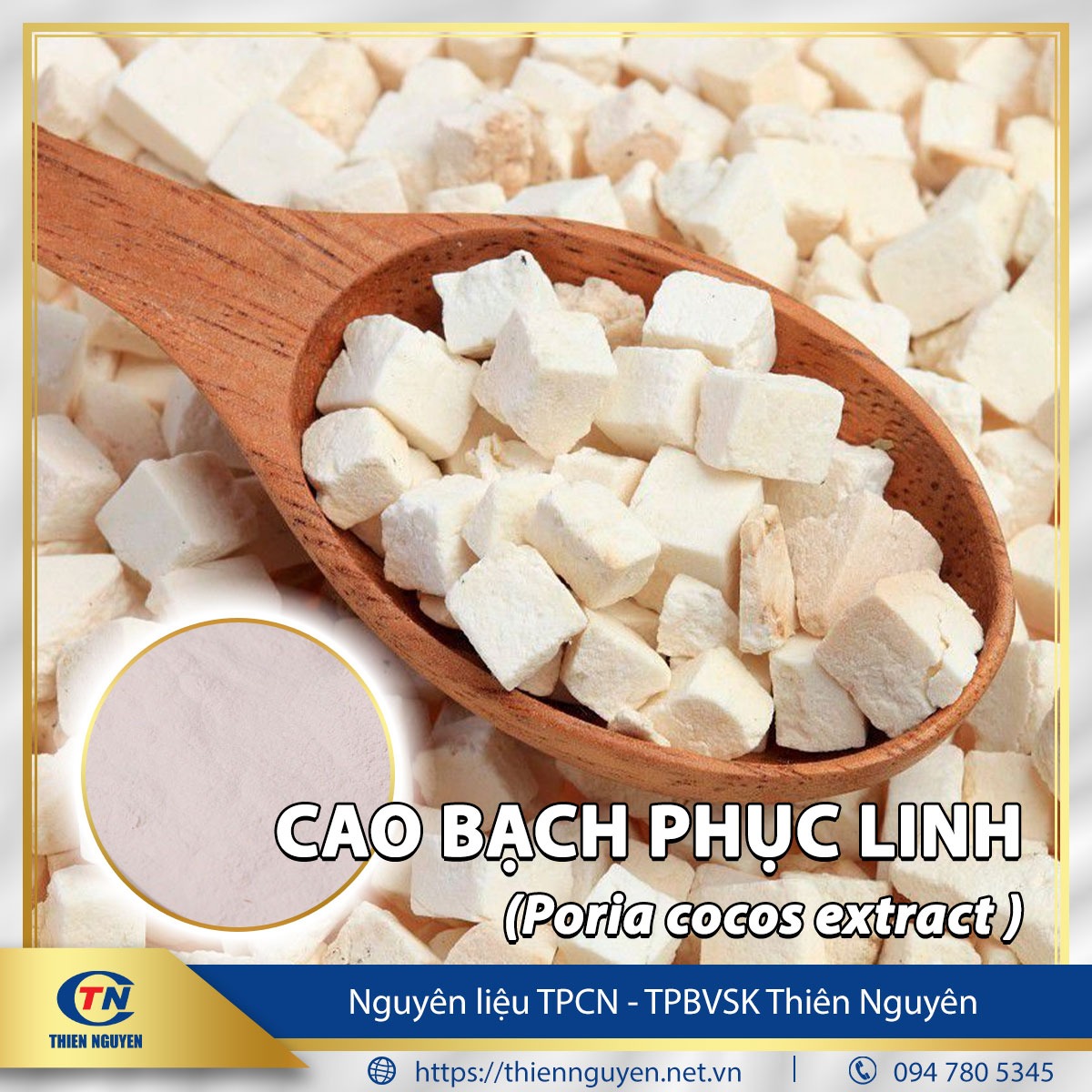 Cao bạch phục linh - Poria cocos extract