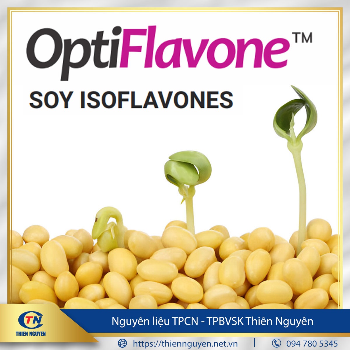 OptiFlavone™ – Soy Isoflavones 40%