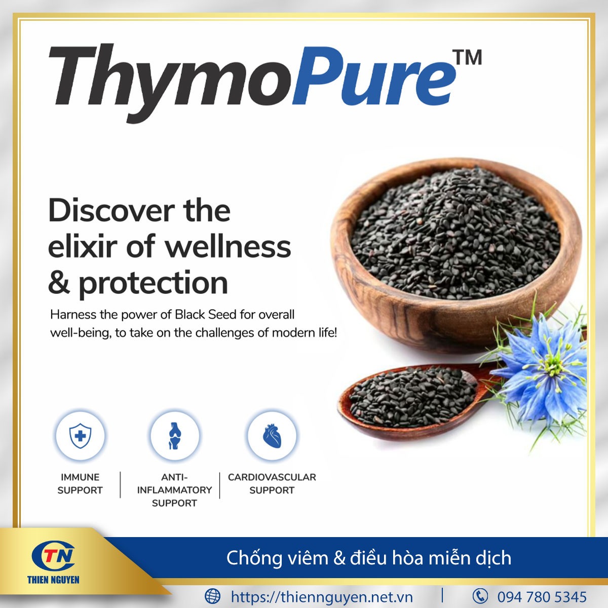 ThymoPure™ – Chiết xuất thì là đen (Nigella sativa extract)