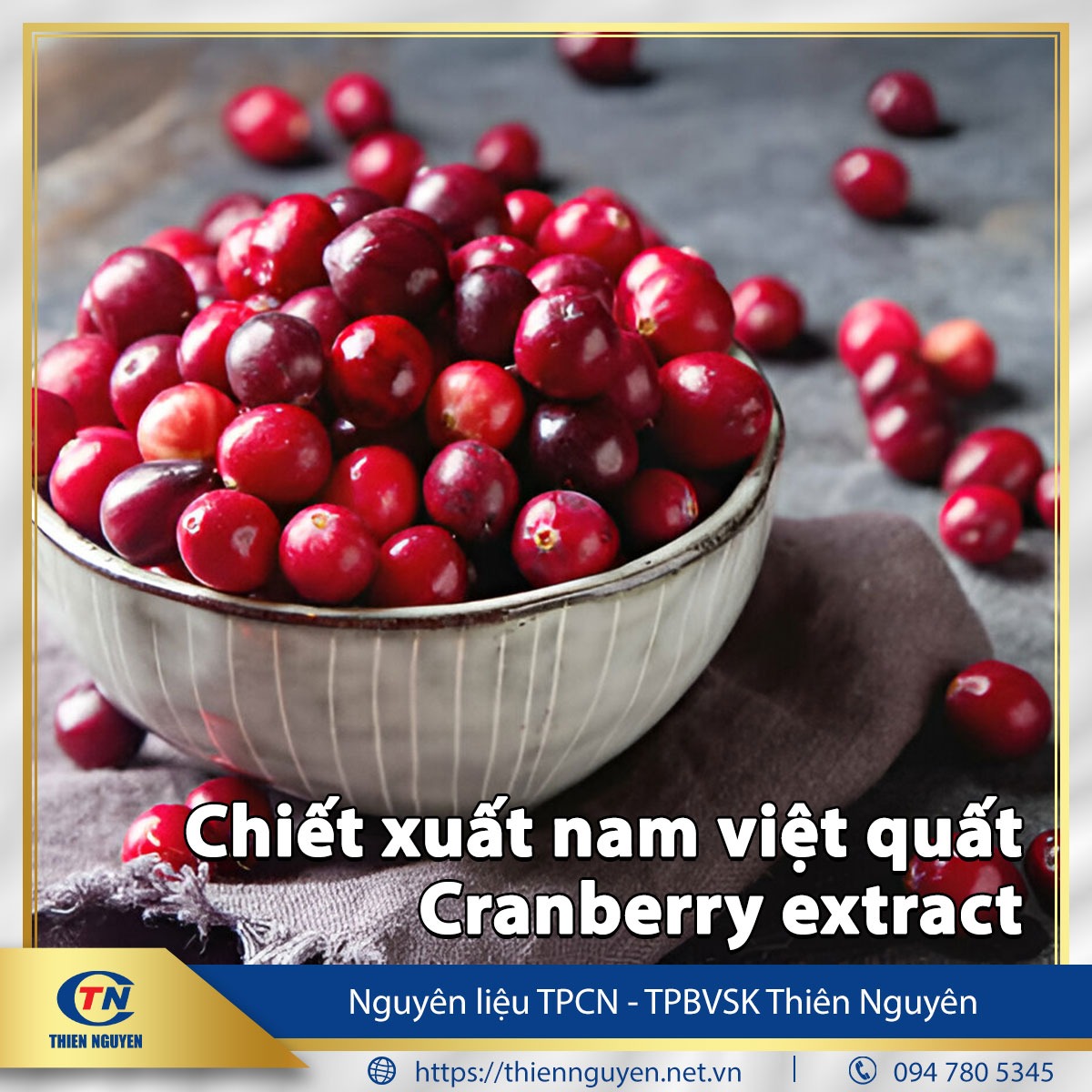 Chiết xuất nam việt quất – Cranberry extract