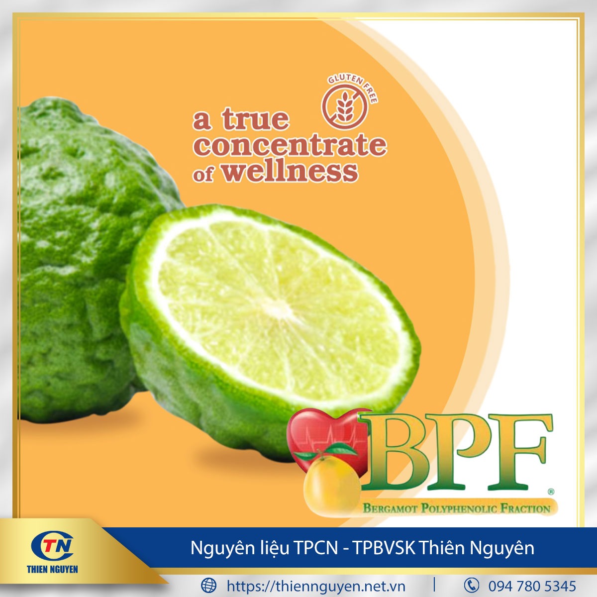 BPF™ – Bergamot Polyphenolic Fraction (Chiết xuất cam Bergamot)