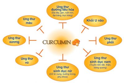 Tác dụng chống oxy hóa của Curcumin dạng sinh khả dụng cao trên bệnh nhân có khối u rắn