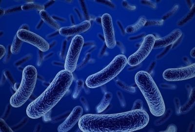Bacillus Clausii - Trợ thủ đắc lực của hệ tiêu hóa