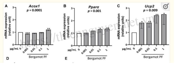 Chiết xuất cam bergamot BPF™ giúp giảm mỡ gan