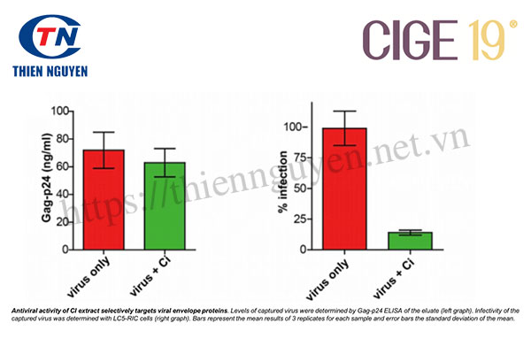 CIGE-19® Tăng cường miễn dịch một cách tự nhiên