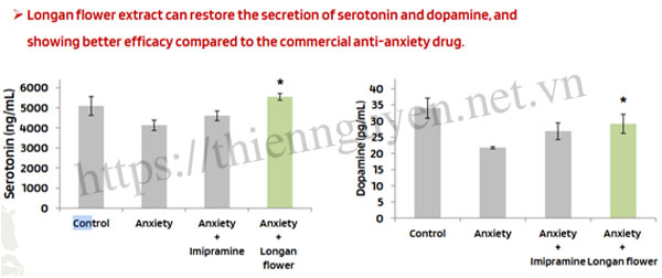 Chiết xuất hoa nhãn giúp phục hồi sự tiết serotonin và dopamine