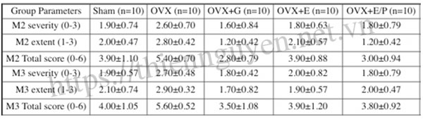 Genistein được xem là một liệu pháp có khả năng cải thiện và làm thuyên giảm các triệu chứng của hội chứng bàng quang tăng hoạt (OAB).