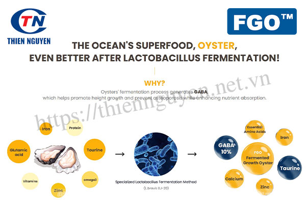 FGO™ (Fermented Growth Oyster) – Chiết xuất hàu Thái Bình Dương Giải pháp thúc đẩy tăng chiều cao cho trẻ em