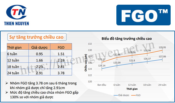 FGO giúp tăng chiều cao gâp 1.3 lần so với giả dượ