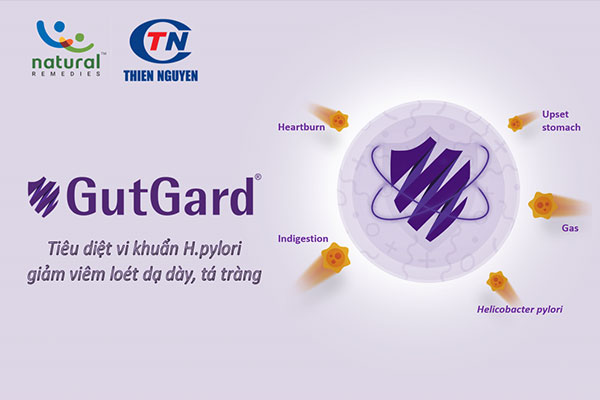 Gutgard® giúp tiêu diệt vi khuẩn H.pylori và giảm viêm loét dạ dày, tá tràng