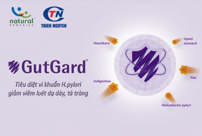 Tác dụng của GutGard® trong hỗ trợ điều trị viêm loét dạ dày do vi khuẩn Helicobacter pylori (H. pylori)