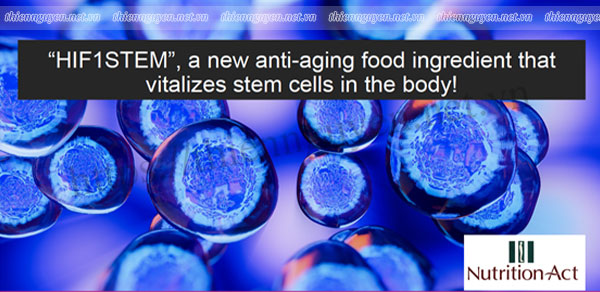 HIF1STEM - Nguyên liệu mới từ thực vật có tác dụng kích hoạt tế bào gốc