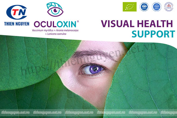 Tác dụng cải thiện thị lực của Oculoxin®