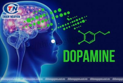 Ảnh hưởng Serotonin và Dopamine đến tình trạng xuất tinh sớm ở nam giới
