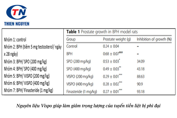 Nguyên liệu Vispo giúp làm giảm trọng lượng của tuyến tiền liệt bị phì đại