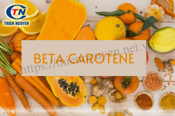 Beta carotene là gì? Beta carotene có tác dụng gì?