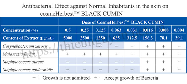 Black cumin có tác dụng kháng khuẩn