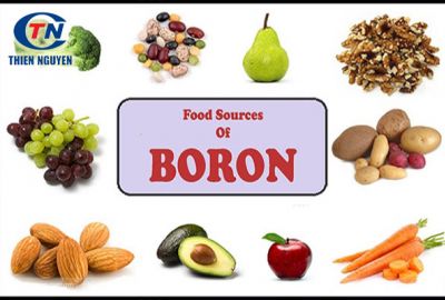 Boron và những lợi ích sức khỏe từ Boron