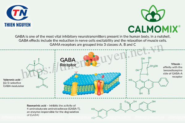 Cơ chế tác dụng của CALMOMIX lên chứng mất ngủ, lo âu và căng thẳng thần kinh