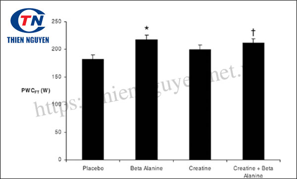 Carnosyn® Beta-alanine tác động lên khả năng lao động thể chất ở ngưỡng mệt mỏi thần kinh cơ