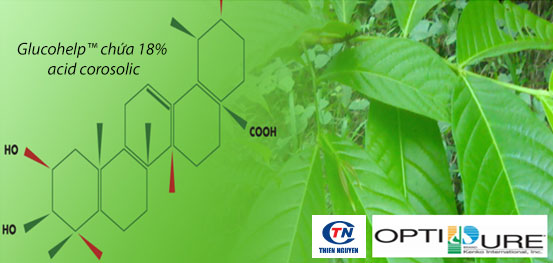 Glucohelp - Chiết xuất bằng lăng chứa 18% acid Corosolic