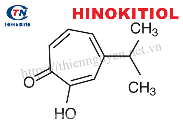 Hinokitiol - Hoạt chất vàng chống ung thư