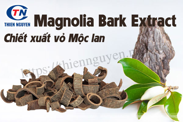 Magnolia Bark Extract (Chiết xuất vỏ Mộc Lan) - Lợi ích bất ngờ không phải ai cũng biết
