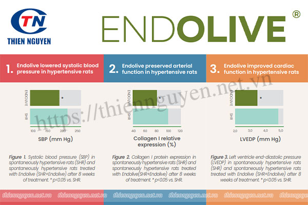 Endolive® giúp làm giảm huyết áp.