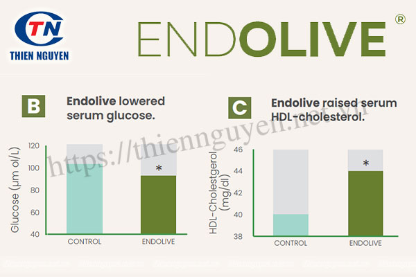 Endolive® giúp làm giảm lượng đường trong máu và làm tăng HDL (Cholesterol tốt)