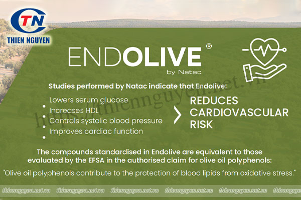 Endolive® – Olive fruit extract giúp phòng ngừa bệnh tim mạch