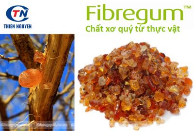 Fibregum – Chất xơ quý từ thực vật