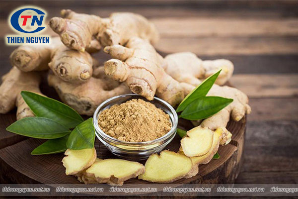 chiết xuất gừng ginger extract